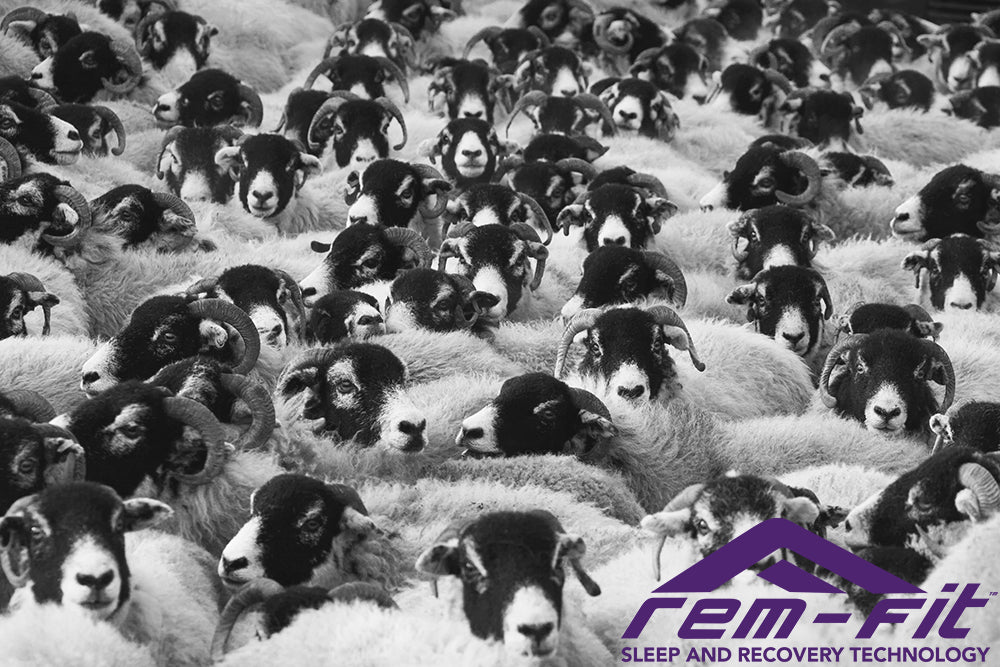 Does Counting Sheep Help You Sleep?