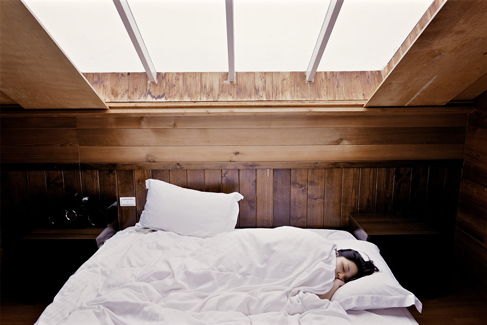 The Science Of Sleep