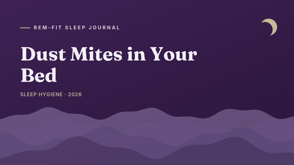 Dust Mites in Your Bed: How to Get Rid of Them and Keep Them Out