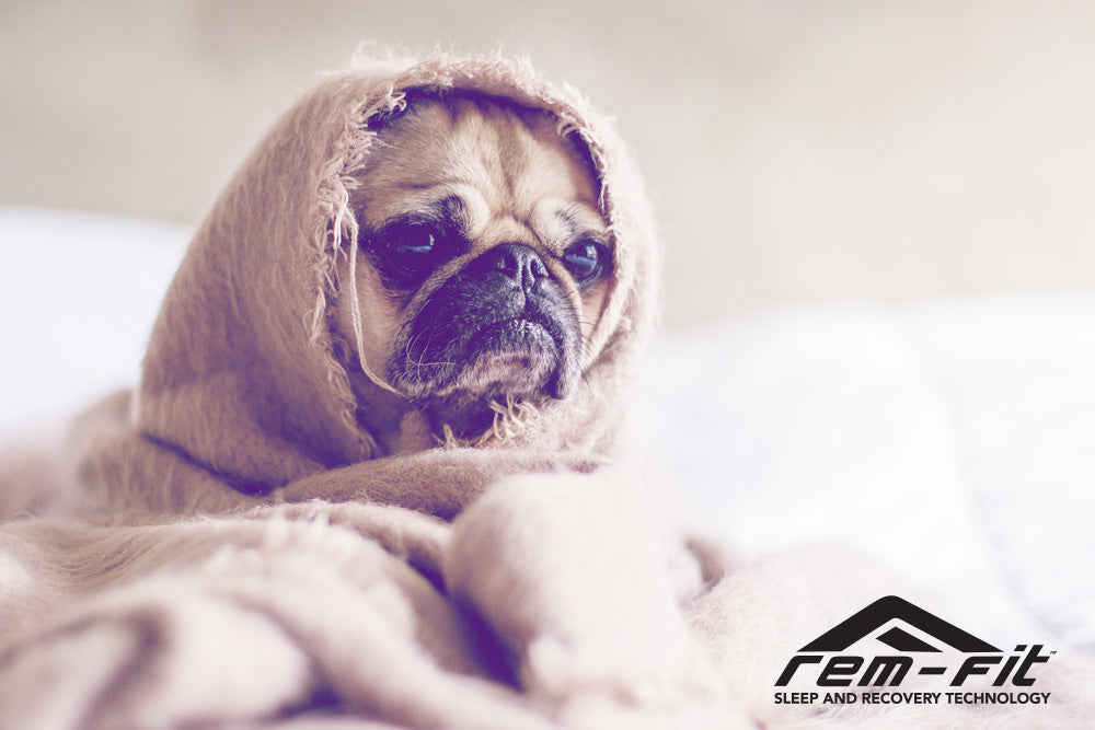 How to Keep Warm on a Cold Night